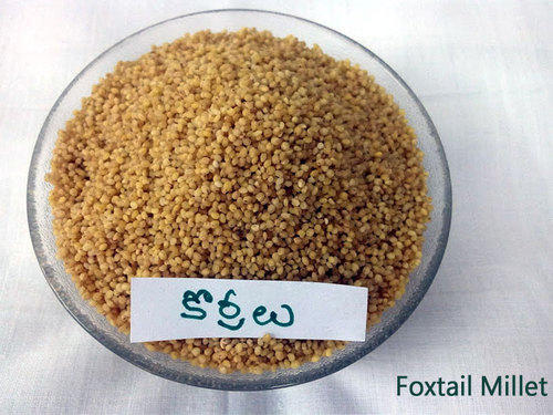 Foxtail Millet Benefits