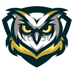 owl logo esport