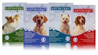 Free Advantage, K9 Advantage or Advantage Multi for Dogs