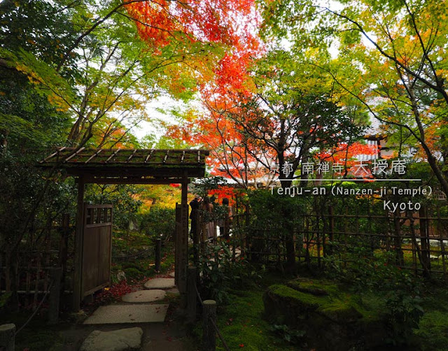 京都 南禅寺･天授庵：書院前庭園の紅葉