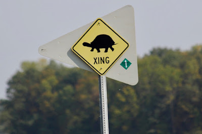 local turtle crossing sign