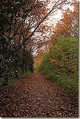 IMG_8264