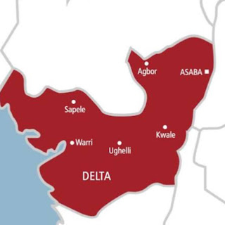 49-year-old woman arrested in Delta for stealing baby after drugging mother