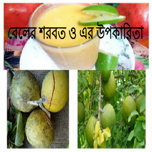 সাস্থ্য সুরক্ষায়বেল বেল এবং বেলের শরবতের বিশেষ উপকারিতা