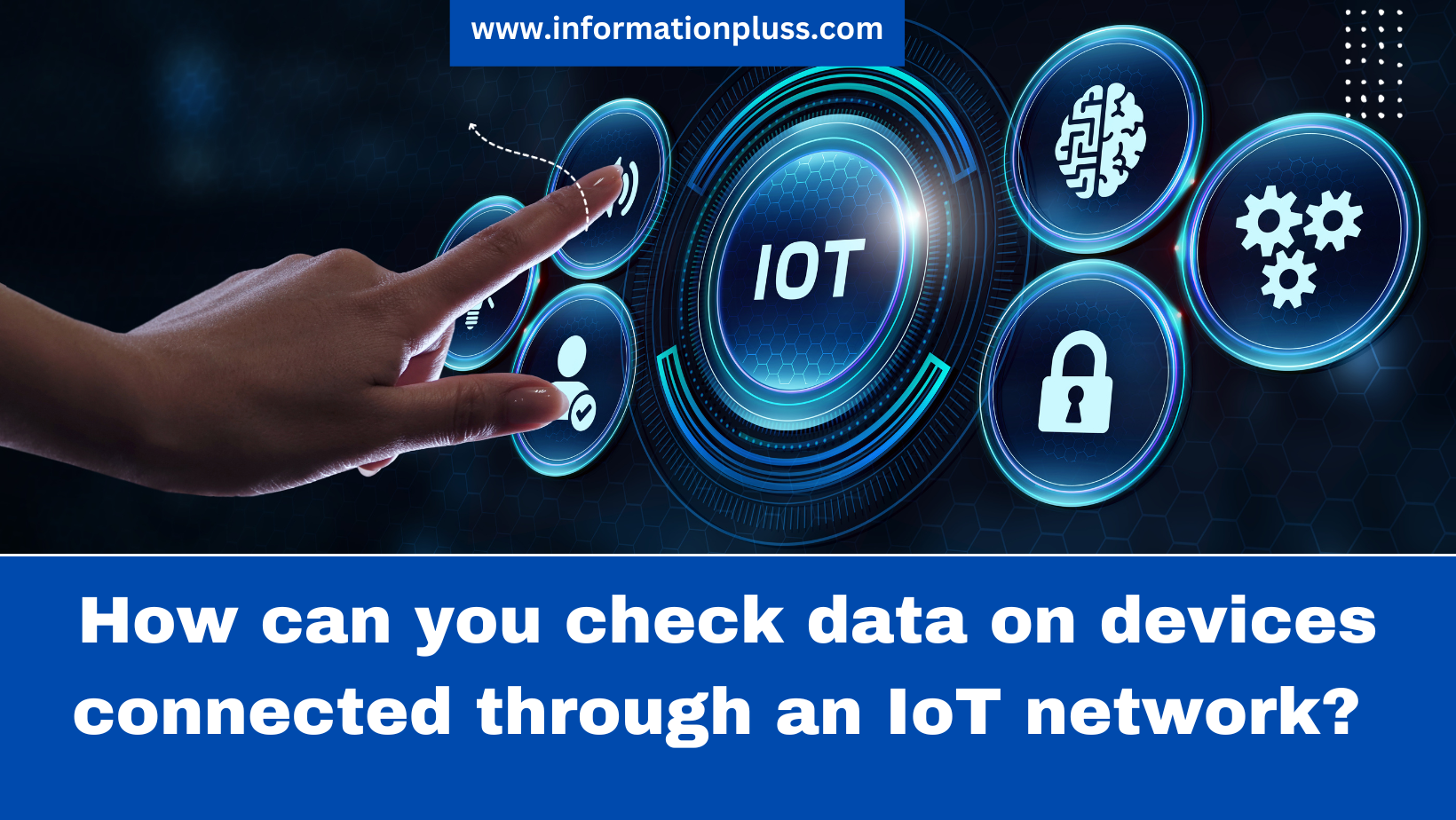 How can you check data on devices connected through an IoT network?