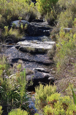 Silvermine stream