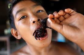 Tarantula Goreng