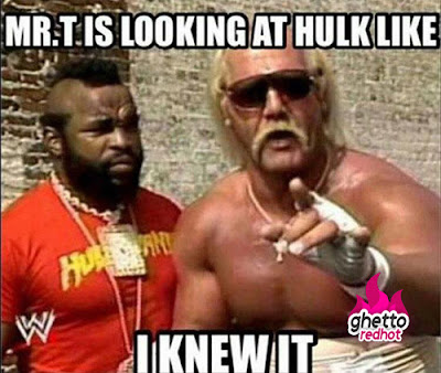 Hulk Hogan racist scandal released cut tough enough wwe