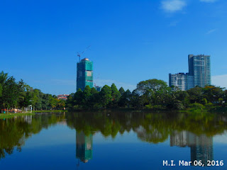 Taman Bandaran Kelana Jaya, Petaling Jaya Selangor (March 6, 2016)