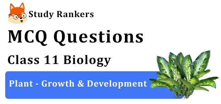 MCQ Questions for Class 11 Biology: Ch 15 Plant - Growth & Development