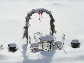 Winter Garden in Snow