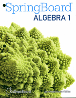 Springboard Algebra 1 Answer Key PDF