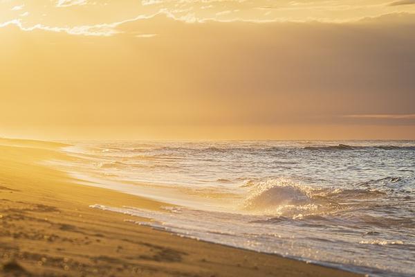 tranquil beach