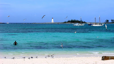 Haitian Sloops in Harbour