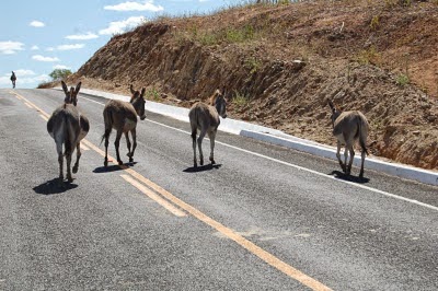 Estradas da região Oeste potiguar estão entre as mais perigosas do Rio Grande do Norte