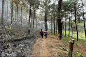 Kebakaran Landa Hutan di Gunung Lawu 