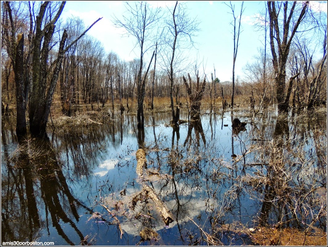 Patriots´ Day en Concord: Minute Man National Historical Park