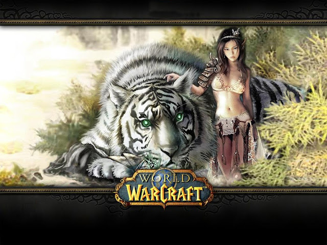 world of warcraft blizzard online mmo game