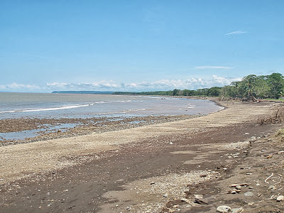 Playa Tárcoles, Puntarenas