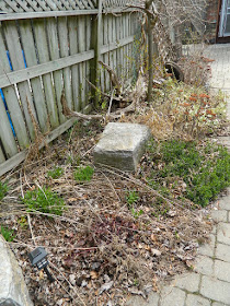 Paul Jung Gardening Services a Toronto Gardening Company Parkdale Spring Garden Cleanup Before
