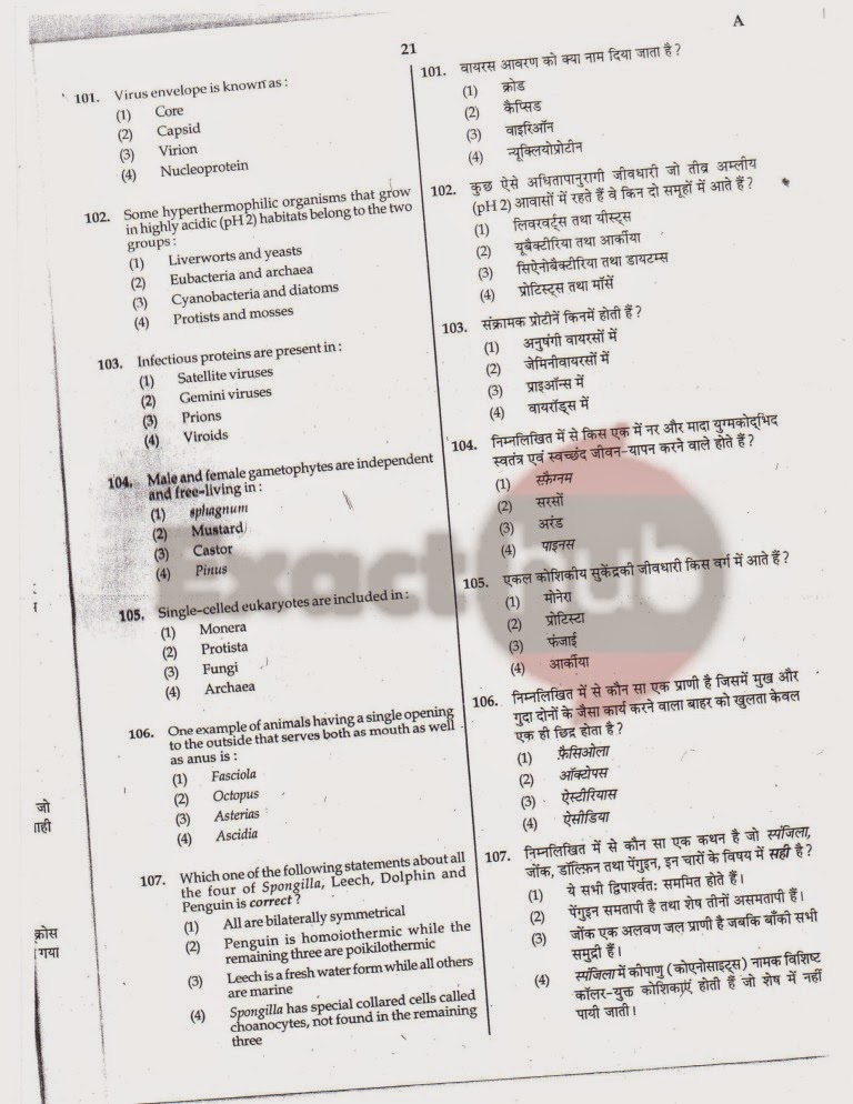 AIPMT 2010 Exam Question Paper Page 21
