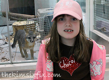 Lindsay Wildlife Museum