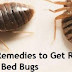 Home Remedies to get rid of bed bugs