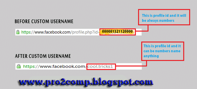 facebook profile id. So this is the trick which will let you get profileid of any person who got 