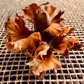 autumn garden, Chez Maximka