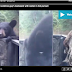 Funny Bear Steals Outdoorsman's Backpack And Doesn't Give A Damn About Manners