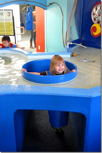 Brooklyn Children's Museum