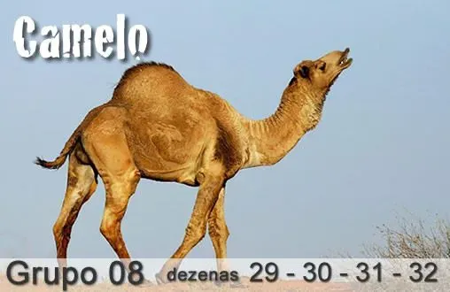 BLOG DO KALEDRI DIA 13/09/2024