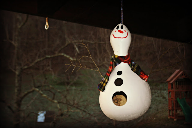 Painting Birdhouse Gourds