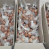 Δωρεά από την εταιρία του κ. Ντρίτσου Θωμά εμπόριο αυγών στο Κοινωνικό Παντοπωλείο του Δήμου Ηγουμενίτσας