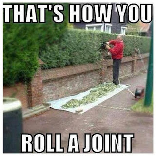 This is how you roll a joint / Funny pics