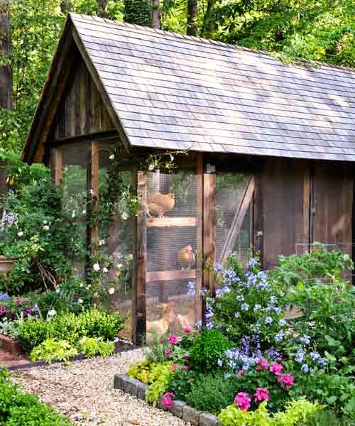 Chicken coop