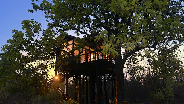 Pench national park tree lodge best price