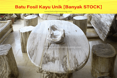 batu fosil kayu dibuat meja dan kursi