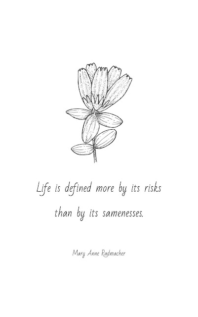 Inspirational Motivational Quotes Cards #8-30 "Life is defined more by its risks than by its samenesses." (Mary Anne Radmacher)