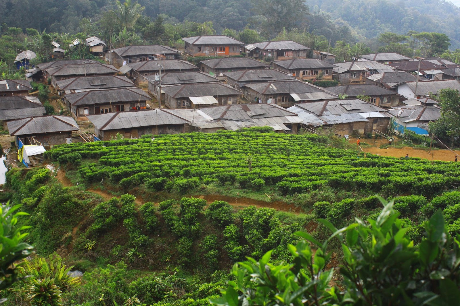 Desa Wisata Malasari Suguhkan Kearifan Lokal Yang Juara Pisan
