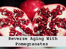 https://foreverhealthy.blogspot.com/2012/04/reverse-aging-prevent-cancer-with.html#more