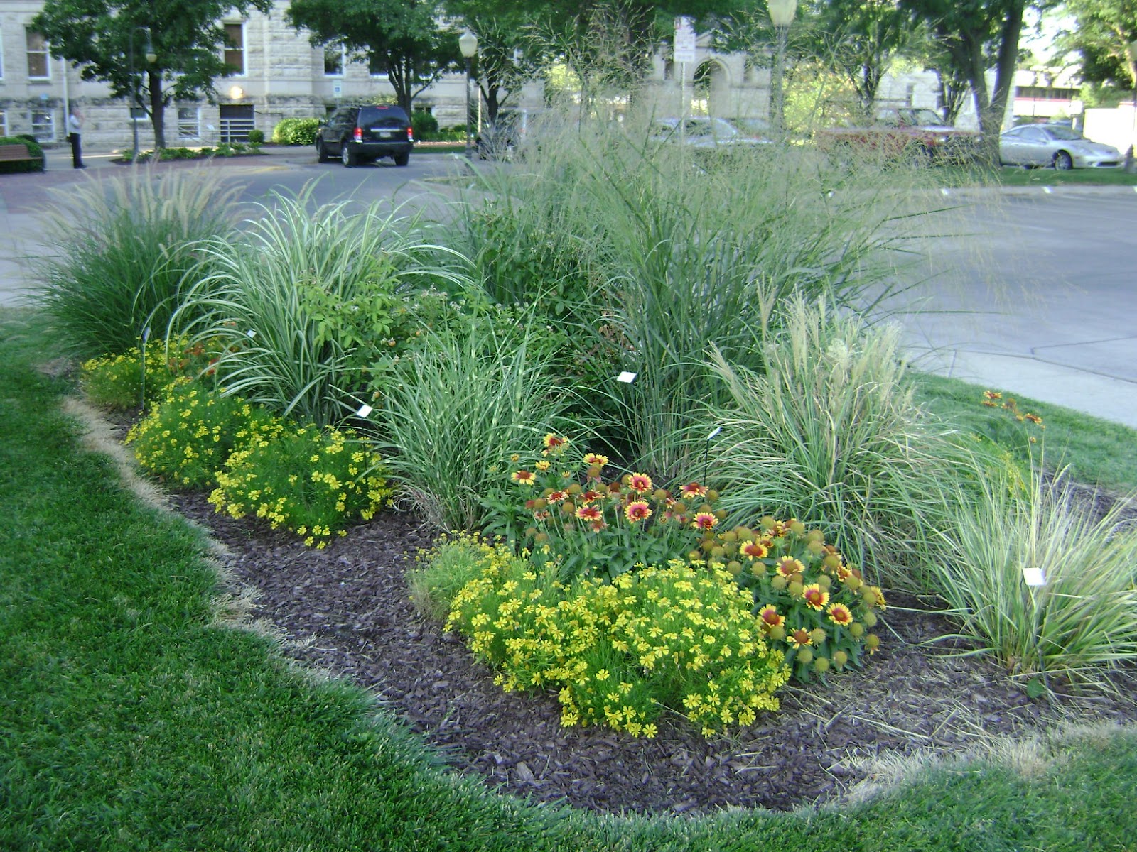 Riley County Extension Blog: Ornamental Grasses