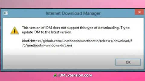 2024 Fix ▷ This version of IDM does not support this type of downloading