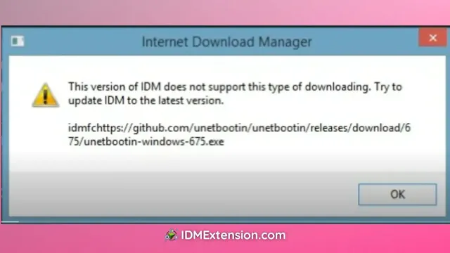 How to Fix This version of IDM does not support this type of downloading