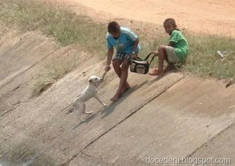 solidariedade4