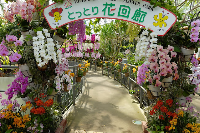 鳥取県西伯郡南部町鶴田 とっとり花回廊 フラワードーム らん祭り