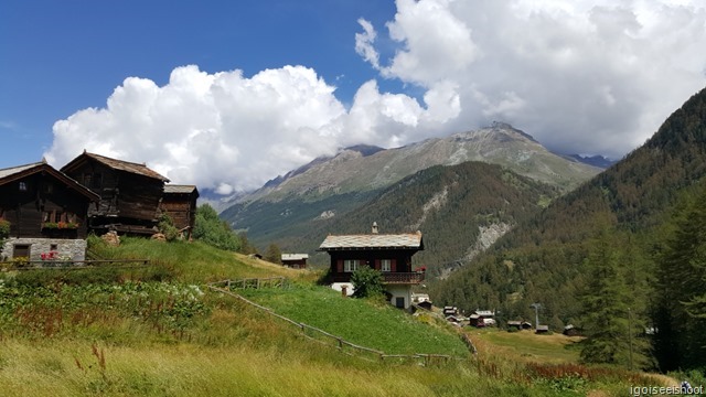 Rustic Zum See hamlet, surrounded by the mountains and green meadows.