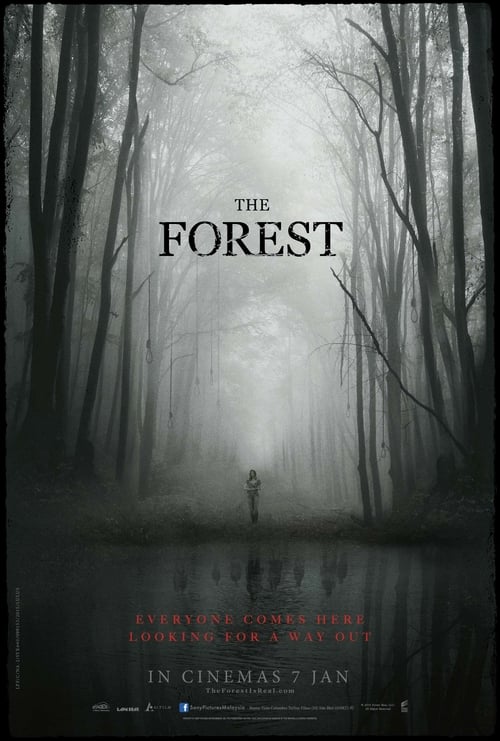 [HD] The Forest 2016 Ganzer Film Kostenlos Anschauen