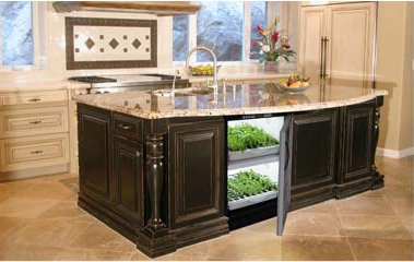 Tobi Brockway Interiors: Indoor vegetable garden for your kitchen