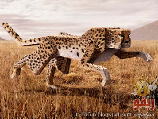 animals_17-500x369-refofun